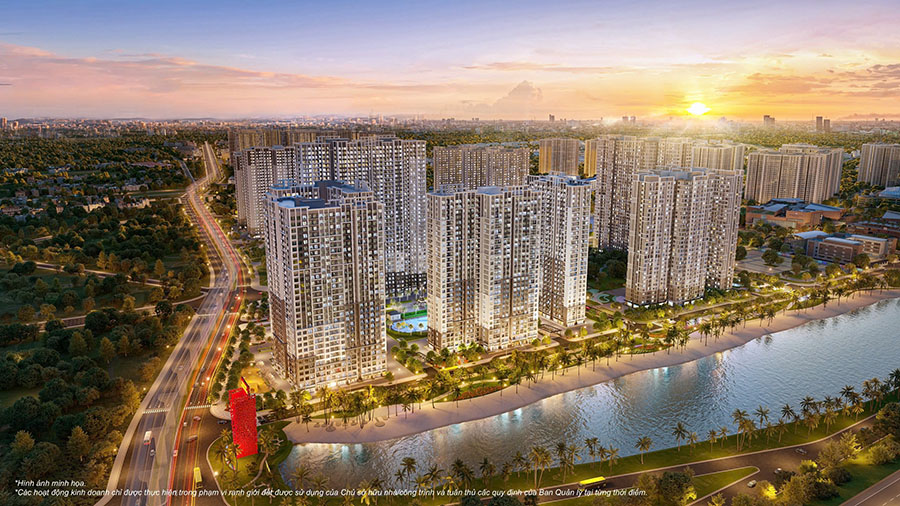 Bể bơi nội khu